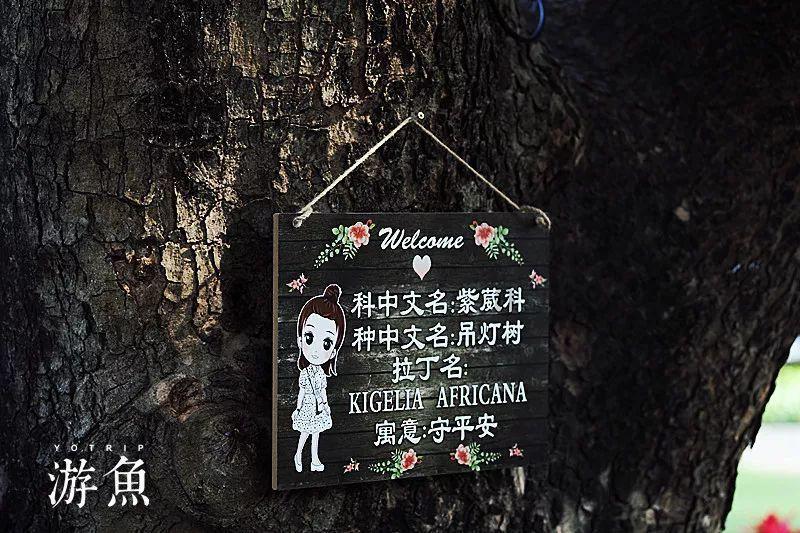 两会代表委员说|刘娣:推动我省生猪产业高质高效发展