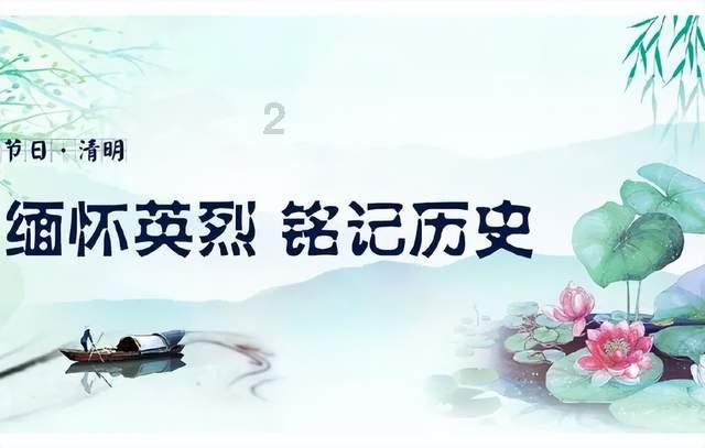 赤麻鸭现身青海门源县