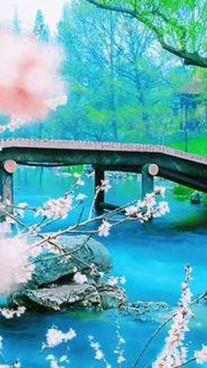 小布什是民主党吗游戏画面